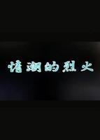韩剧《干柴与烈火》在线观